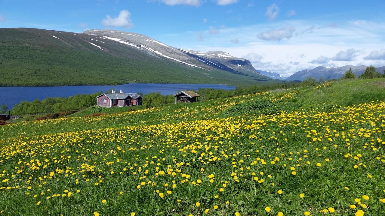 Gomobu Fjellstue Hotel Ron Exterior photo